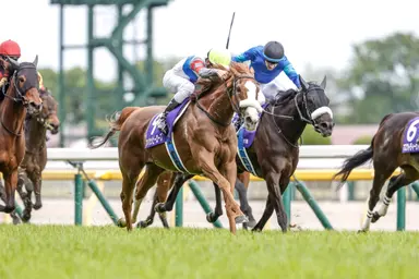 Japan: Ten Happy Rose ($233.80), one of four at 100-1, takes Victoria Mile