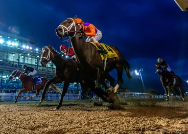Weekend GamePlan: Picks for Jeff Ruby Steaks, Louisiana Derby, Essex Handicap