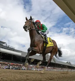 U. S. S. Valor, Gaudreau face off again in Champagne