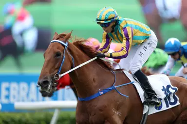 Rising Karma looks to raid Group 3 Sa Sa Ladies’ Purse at Sha Tin