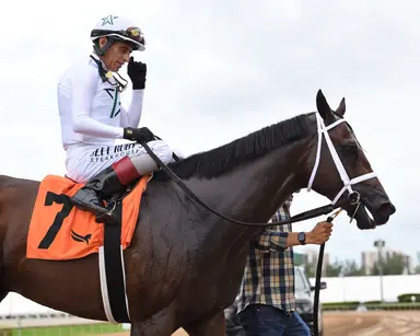 Jackson Hole hoping two-turn tally provides edge in Fountain of Youth