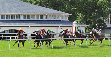 DRF's Horse Racing Playbook for Saturday, January 17