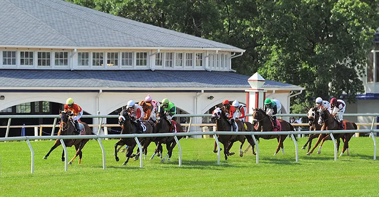 Laurel Park turf racing