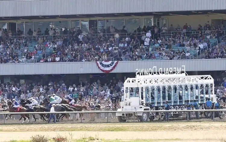 Emerald scenic grandstand 2026
