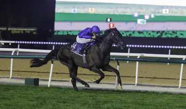 Weather may dictate Rebel's Romance's chances in Champions and Chater Cup