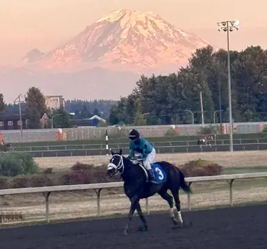 Smiling Goodbye lands in tough spot to start season