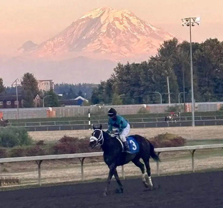 Emerald.Mt Ranier 2026