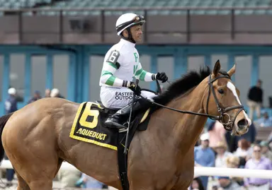 Munnings Express auditions for stakes in seven-furlong try