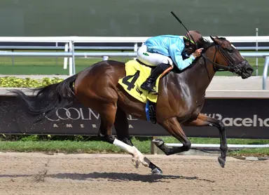 Sunna drops in class, returns to turf