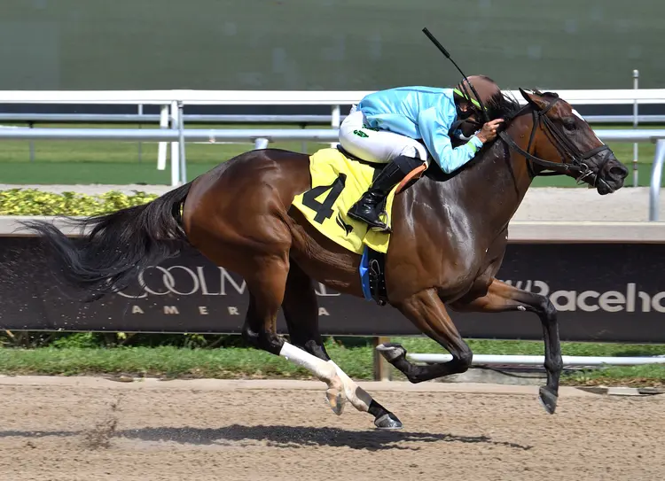 Sunna wins maiden at GP Oct 12 2025