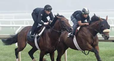 Well-rested pair impresses in allowance