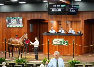 Uncle Mo colt tops Day 3 at $1.3 million to extend run of big purchases at OBS April sale