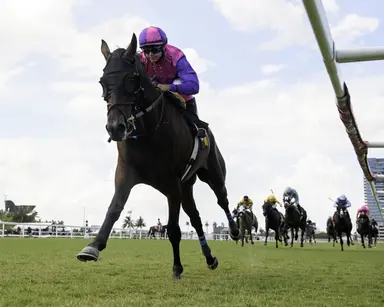 Biancone confident Redland Rebels can earn spot in Kentucky Derby