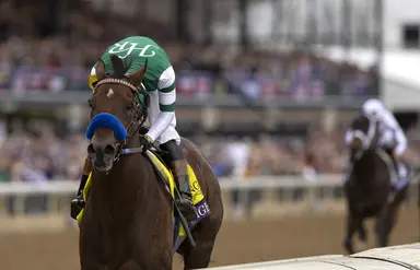 Breeders to Flightline get first chance to cash in on select first book