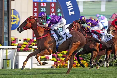 Declan Schuster's Hong Kong Selections and Analysis for Sunday, February 18, 2024