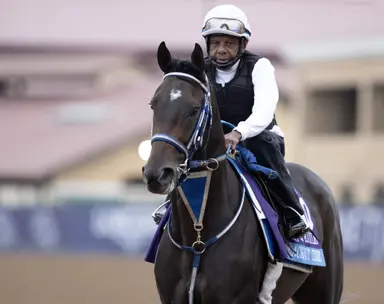 McPeek may try Blackout Time, Taken by the Wind in turf stakes