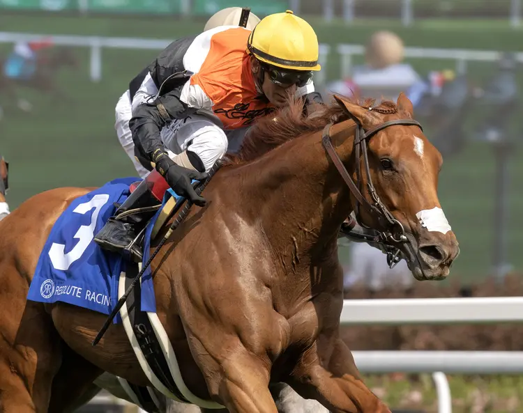 Bridle a Butterfly wins William Walker at CD April 30 2025
