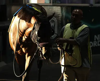 Awesome Bourbon's bid for first stakes win in Jacques Cartier comes off layoff