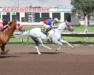 Meet opens with Quarter Horse trials after absorbing entire Ruidoso season