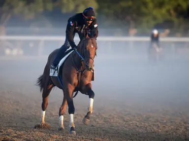 Weekend GamePlan: Picks for Ed Brown, Seabiscuit, Fern Creek