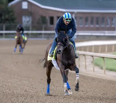 Owen Almighty looks to get back on track in local return