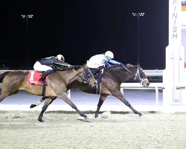 Coco Connect has first stakes victory in Valdale