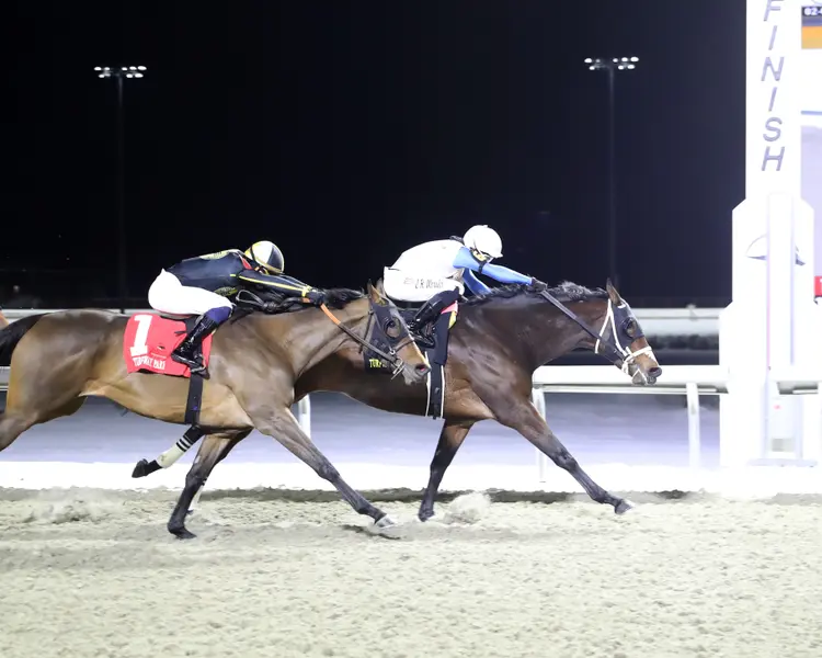 COCO CONNECT - The Valdale 39th Running - 02-07-26 - R08 - Turfway Park - Finish 01.jpg