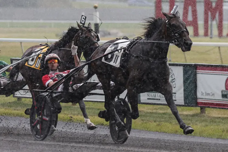 Jiggy Jog 8-3-24