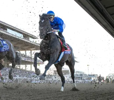 Kentucky Derby pedigree profile: East Avenue