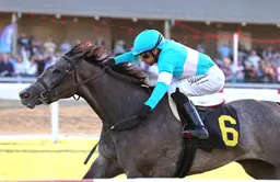 Penn Oaks: Bandiagara delivers for new connections in North American debut