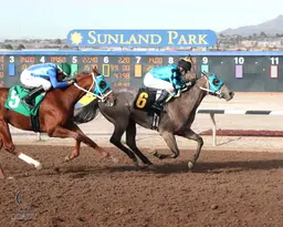 Marking progeny sweep 3-year-old stakes