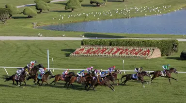 NYRA announces Belmont Gold Cup winner will earn Melbourne Cup berth