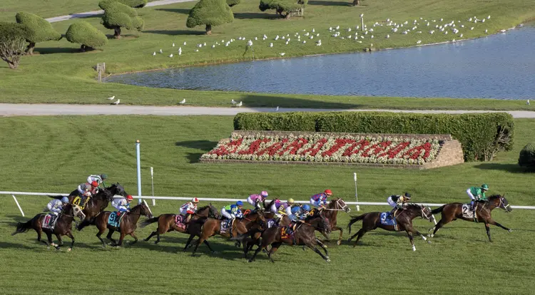 Saratoga02.Scenic.9-3-23.BL_.jpg