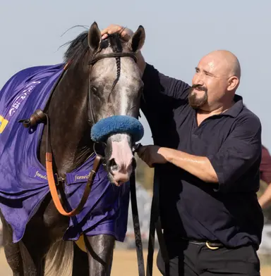 Wood Memorial more than a Derby shot for Napoleon Solo