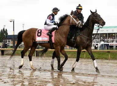 Preakness 2025: Journalism will start from post 2 as strong favorite