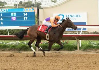 Breakout Beyers: Tamara does Beholder proud in first-out maiden victory
