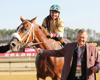 Kentucky Derby pedigree profile: American Promise