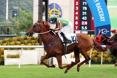 Vincent Ho searches for 600th Hong Kong win as Karma tackles Chevalier Cup