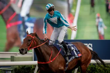 Danny Shum pleased as Romantic Warrior settles into Dubai