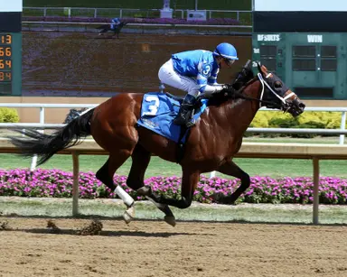 Breakout Beyers: Onward, upward for Lightline after impressive Indy debut
