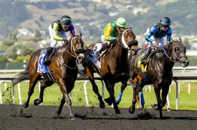 Brad Free's Santa Anita Horses to Watch for week of Feb. 21-23, 2025