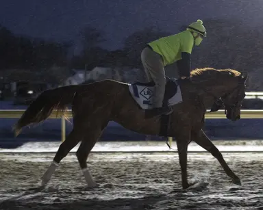 Sand Devil gets one more Triple Crown tune-up in Damon Runyon