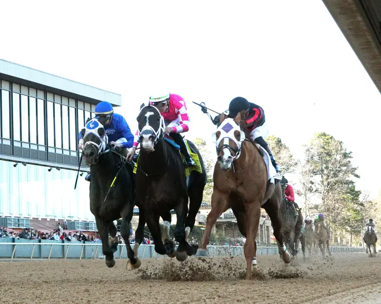 ALEXANDER HELIOS - The Razorback Handicap G3 - 66th Running - 02-23-25 - R10 - Oaklawn Park - Under Rail 01 - John Gallagher.jpg