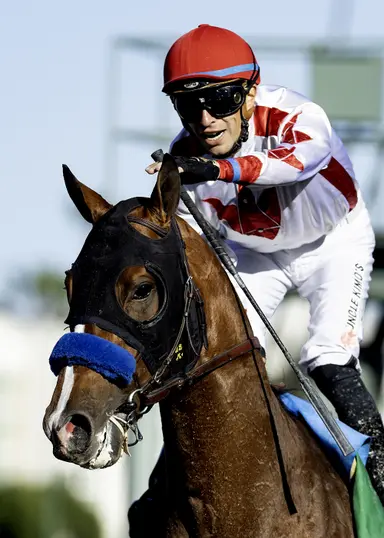 Kentucky Derby 2026: Juan Hernandez has rich mounts topped by Derby debut aboard Potente