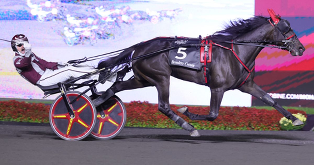Breeders Crown:  Hoping for a storybook sequel: Storybook Love chases glory again