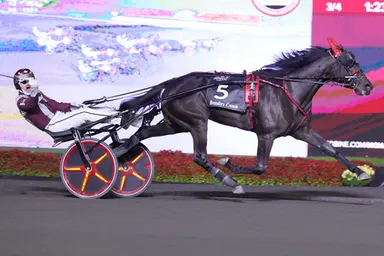 Breeders Crown:  Hoping for a storybook sequel: Storybook Love chases glory again