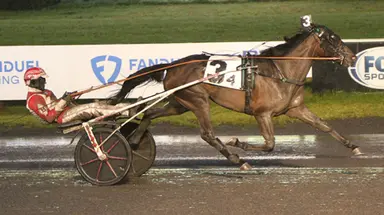 Meadowlands:  NJSS action begins for sophomore trotters