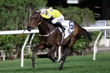 Talented Super Joy N Fun aims to extend unbeaten start