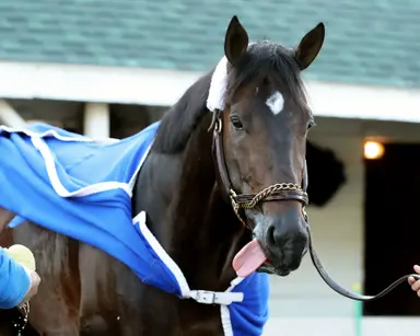 Franco, Castellano, Moreira secure Derby mounts