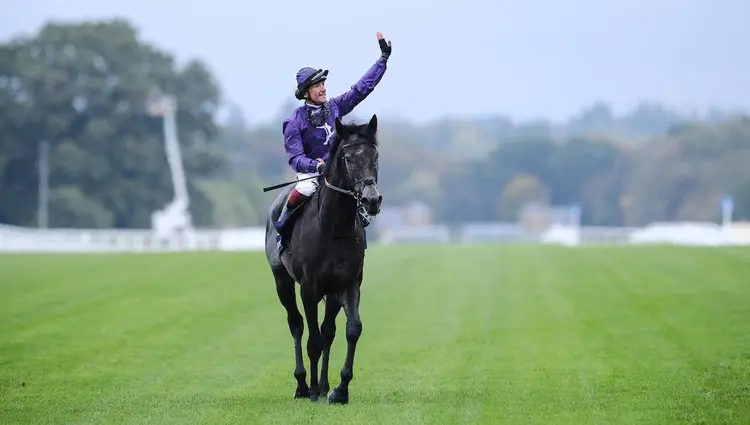 King of Steel-Dettori. Megan Rose.jpg